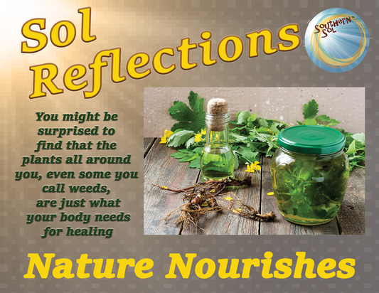 Discovering Herbal Wisdom rooted in the Land We Live On