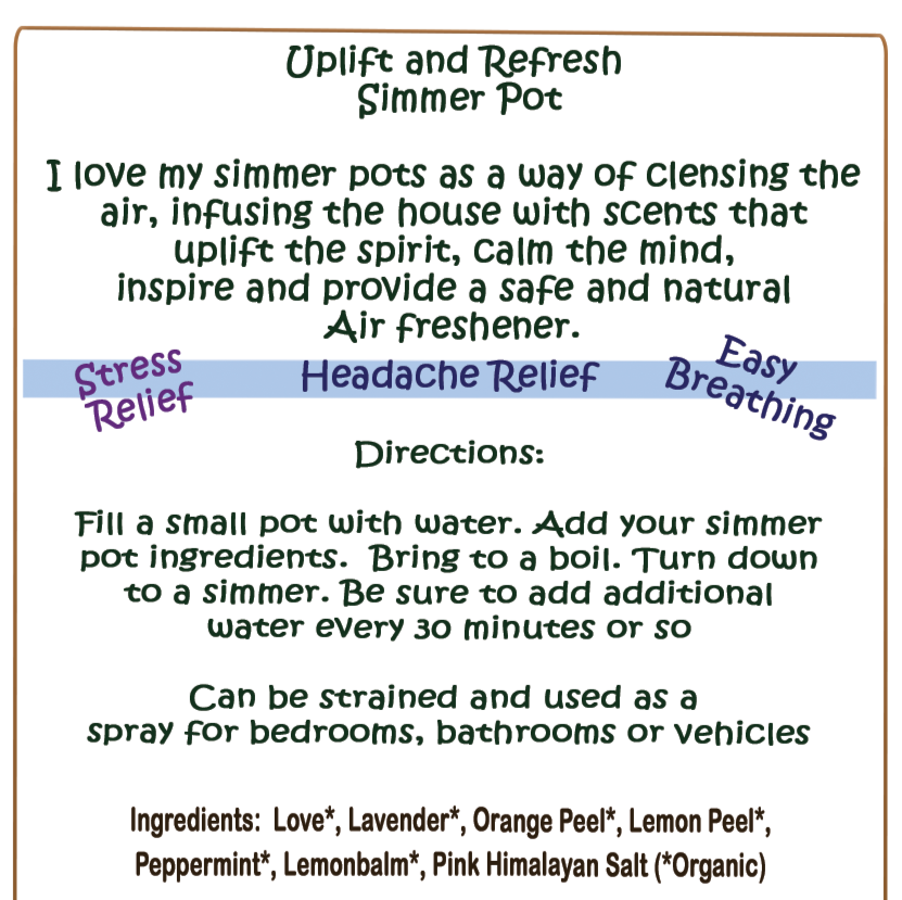 Uplift and Refresh Simmer Pot - Natural Air Freshener - Southern Sol