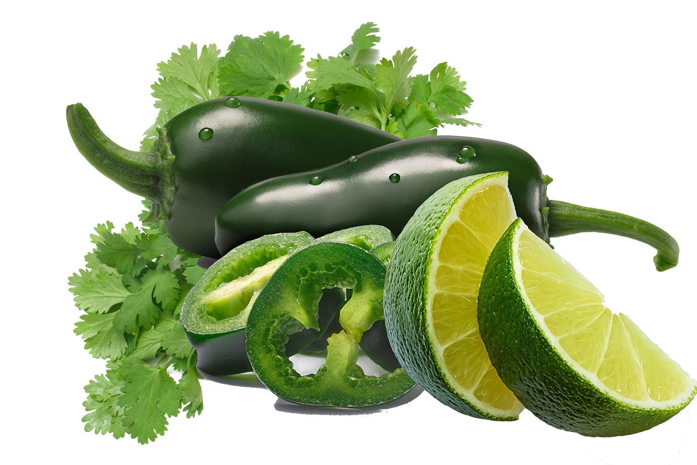 Hello-Pena Lime Bringing Cilantro to the Party - Southern Sol