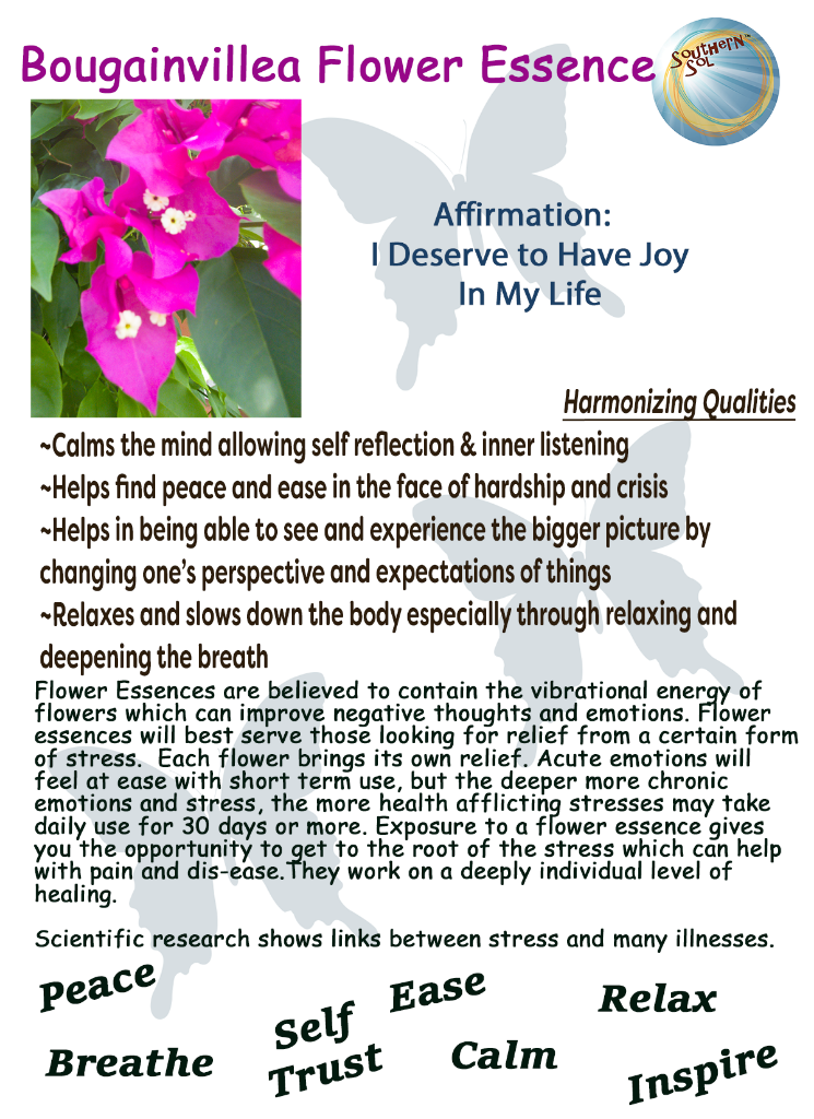 Bougainvillea Flower Essence - Southern Sol