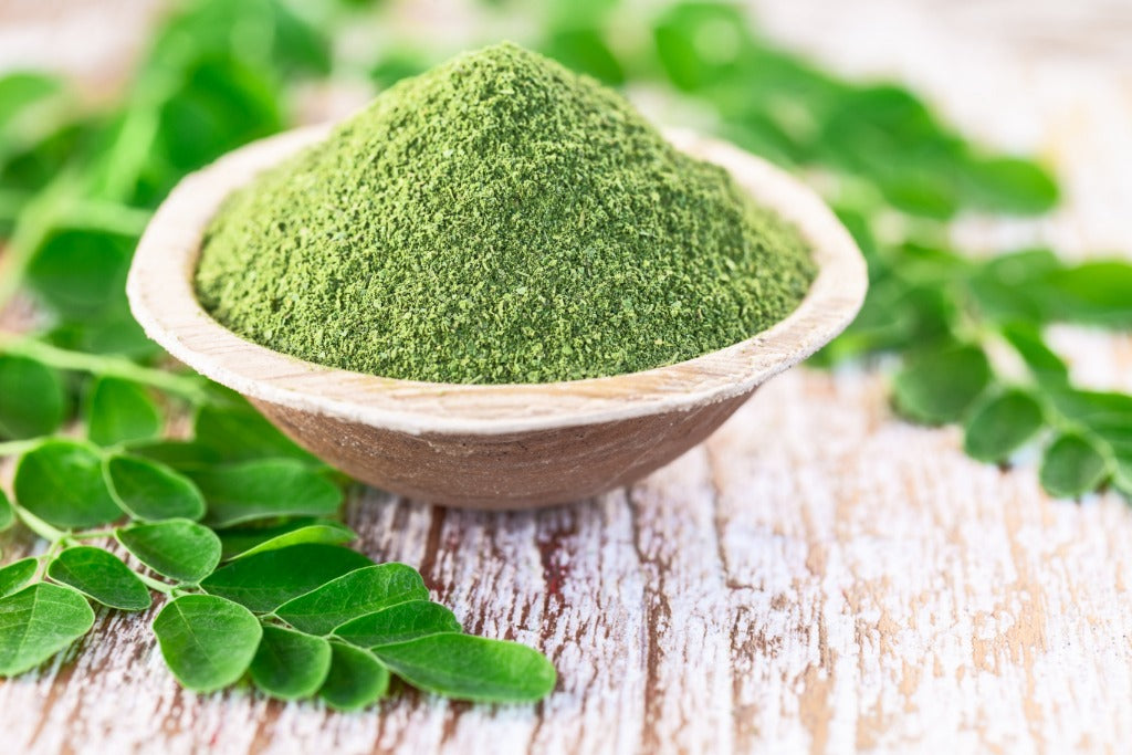Fresh Ground Moringa - Southern Sol