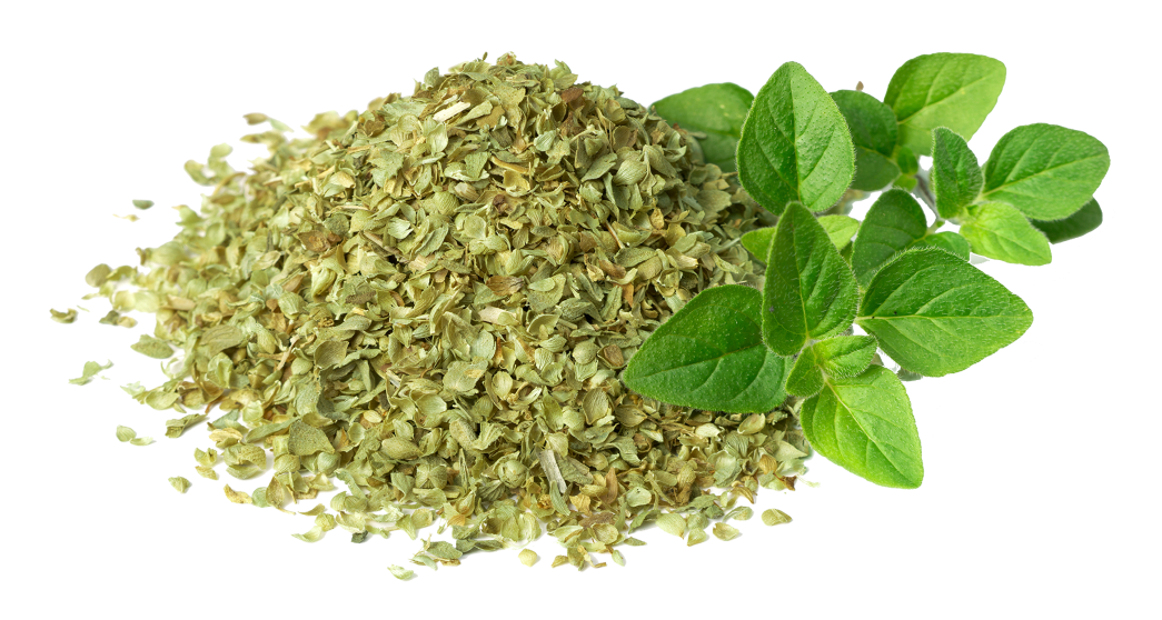 Oregano - Southern Sol