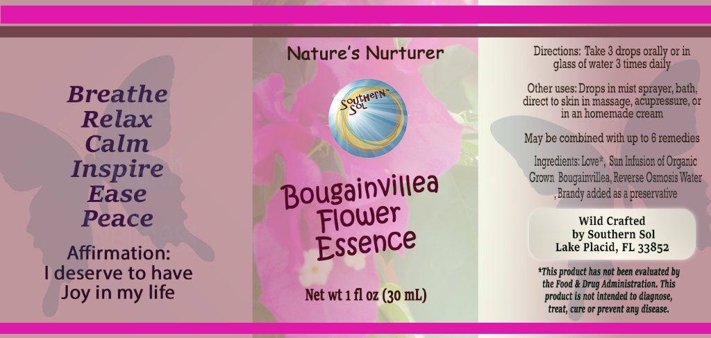 Bougainvillea Flower Essence - Southern Sol