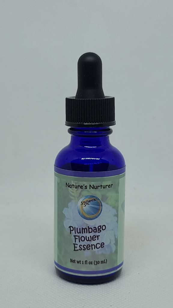 Plumbago Flower Essence - Southern Sol