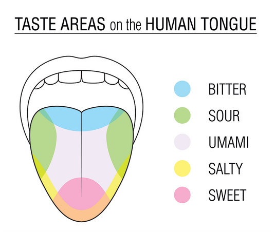 Taste Buds on Human Tongue bitter, sour, umami, salty, sweet