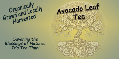 Avocado Leaf Tea - Southern Sol