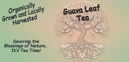Guava Leaf Tea - Southern Sol