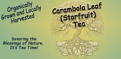 Carambola Leaf Tea - Southern Sol