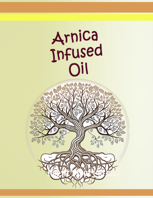 Arnica Montana Infused Oil - Southern Sol
