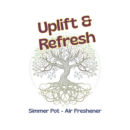 Uplift and Refresh Simmer Pot - Natural Air Freshener - Southern Sol