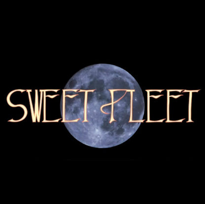 Sweet Fleet - Fleetwood Mac Tribute Band - Southern Sol