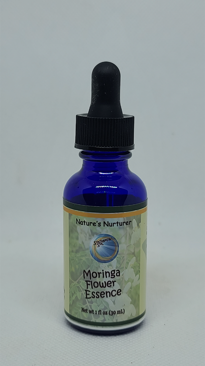 Moringa Flower Essence - Southern Sol