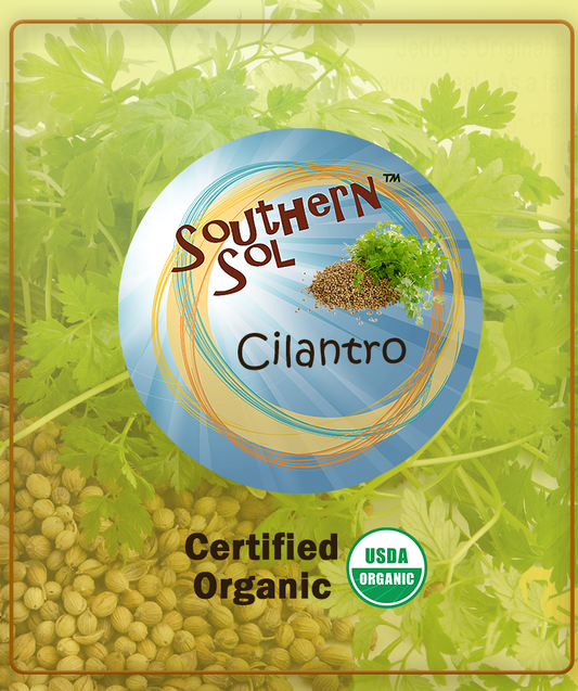 Cilantro - Southern Sol