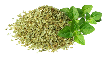 Oregano - Southern Sol