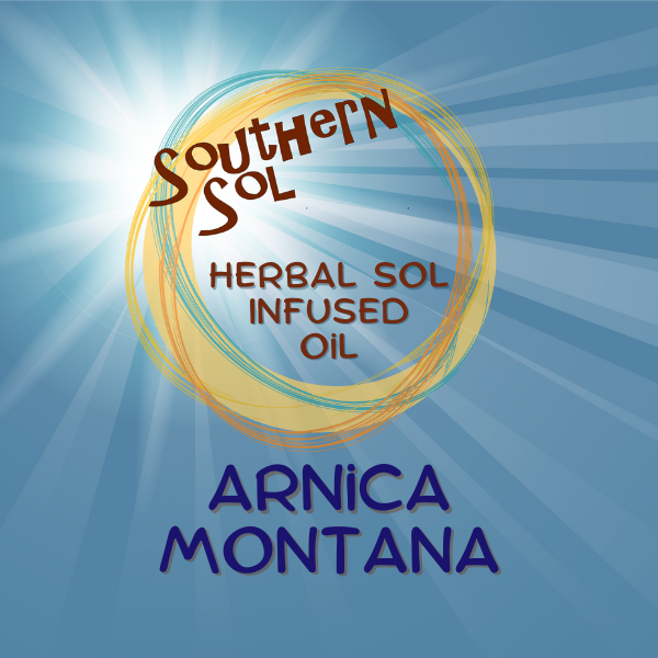 Arnica Montana Infused Oil - Southern Sol