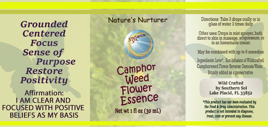 Camphorweed Flower Essence - Southern Sol