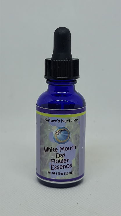 White Mouth Day Flower Essence - Southern Sol
