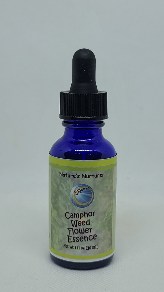 Camphorweed Flower Essence - Southern Sol